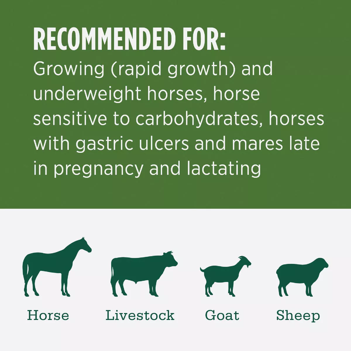 Standlee Premium Western Forage 50 Lb. Certified Alfalfa Compressed Bale - photo 3