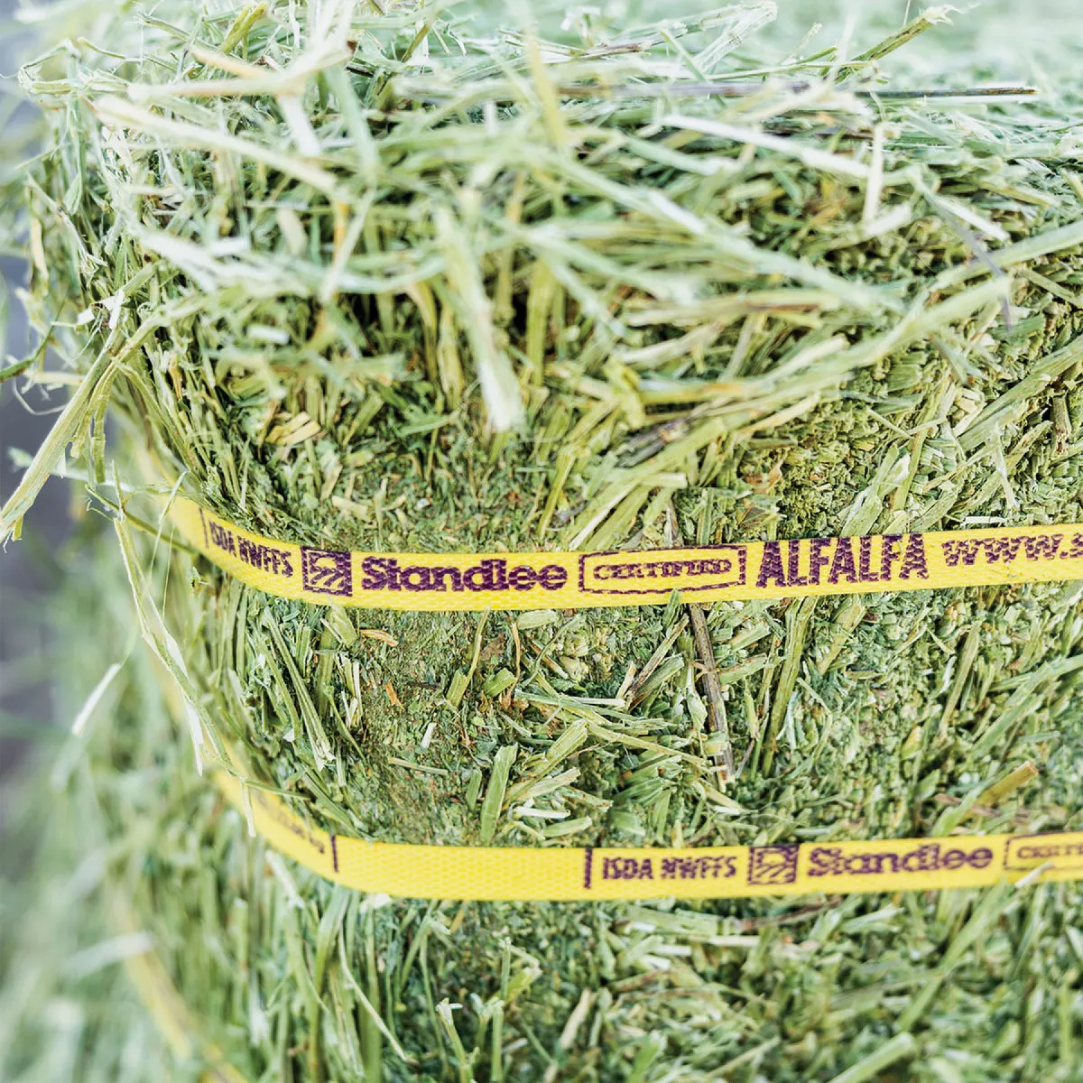 Standlee Premium Western Forage 50 Lb. Certified Alfalfa Compressed Bale - photo 6