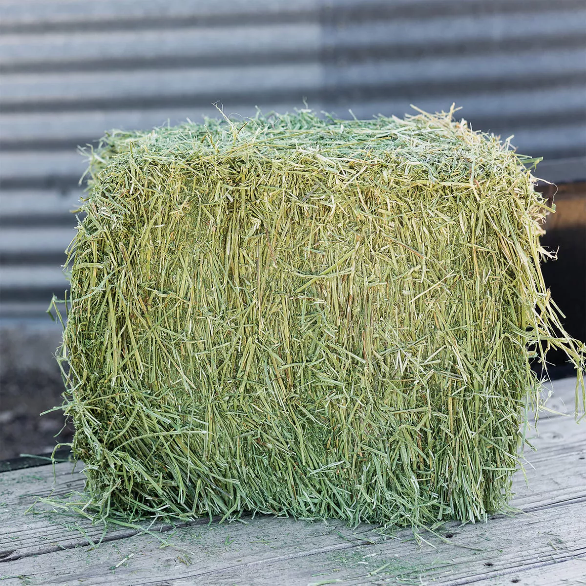 Standlee Premium Western Forage 50 Lb. Certified Alfalfa Compressed Bale - photo 7