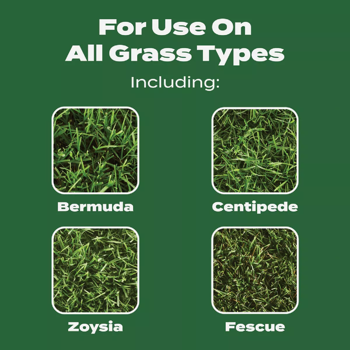 Scotts Turf Builder 12.5 Lb. 5000 Sq. Ft. Lawn Food - photo 5