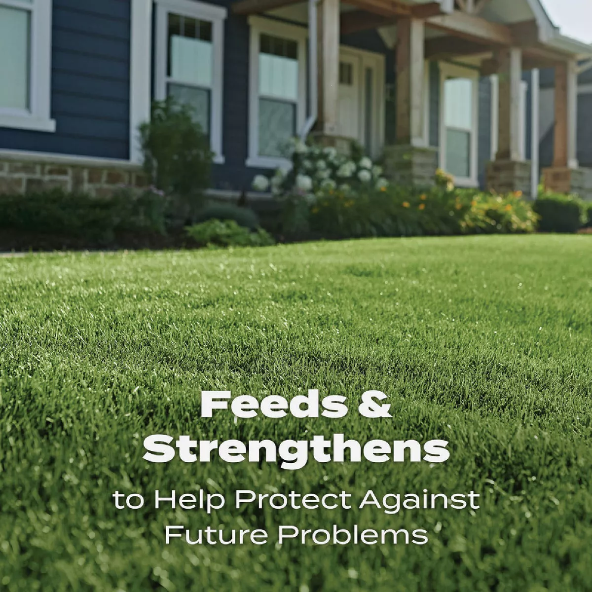 Scotts Turf Builder 12.5 Lb. 5000 Sq. Ft. Lawn Food - photo 8