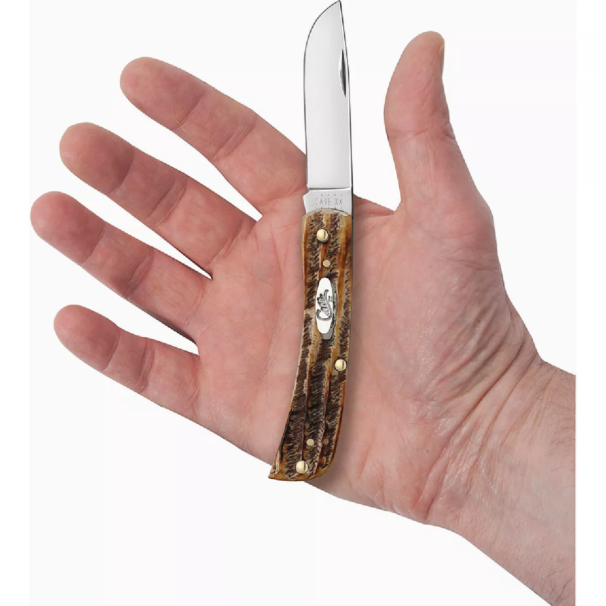 Case Sod Buster Jr 2.88 In. Amber BoneStag Pocket Knife - photo 3