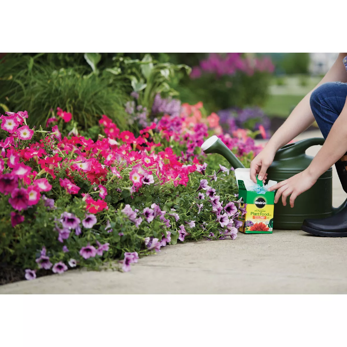 Miracle-Gro 4 Lb. Water Soluble All Purpose Plant Food - photo 5