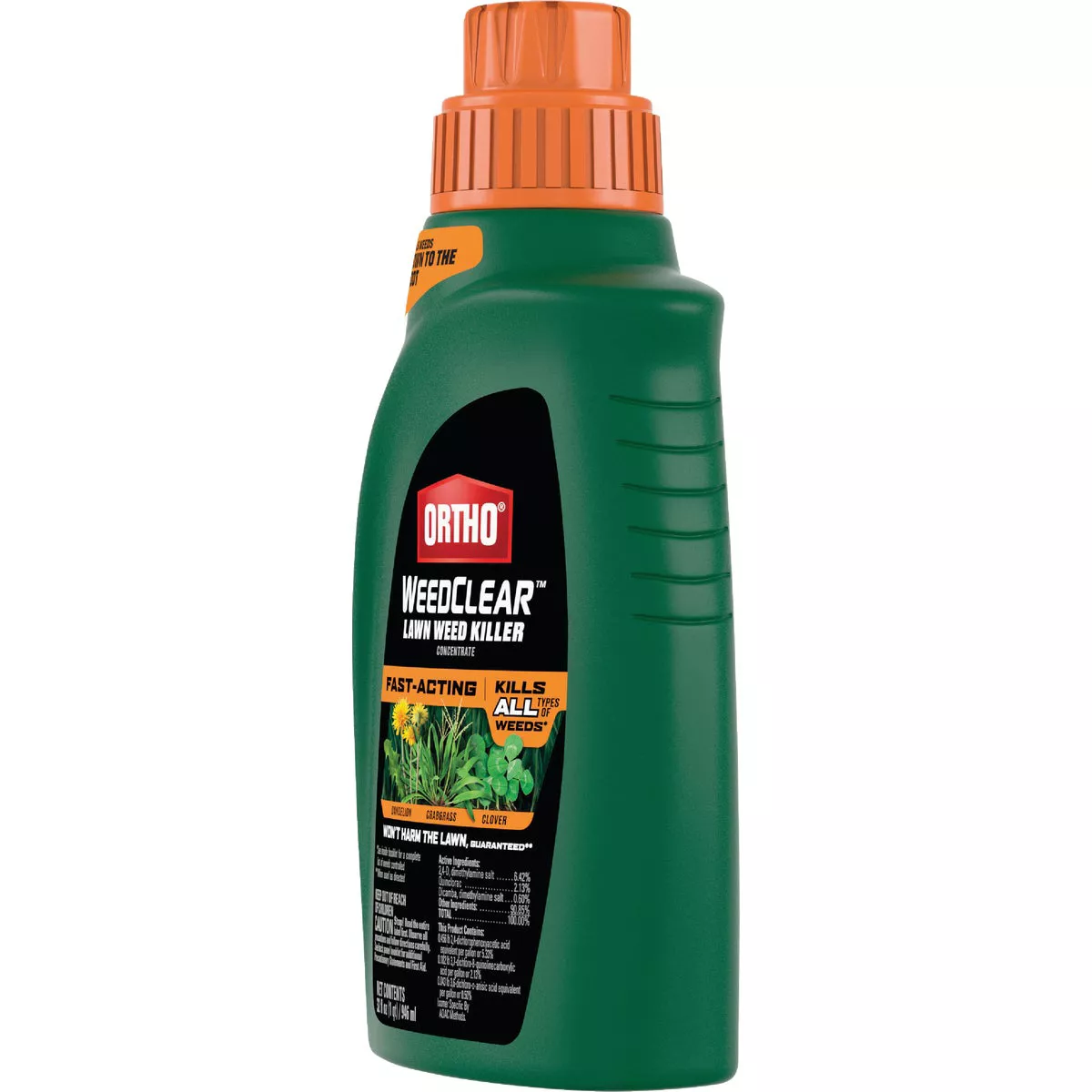 Ortho WeedClear 32 Oz. Concentrate Lawn Weed Killer - photo 4