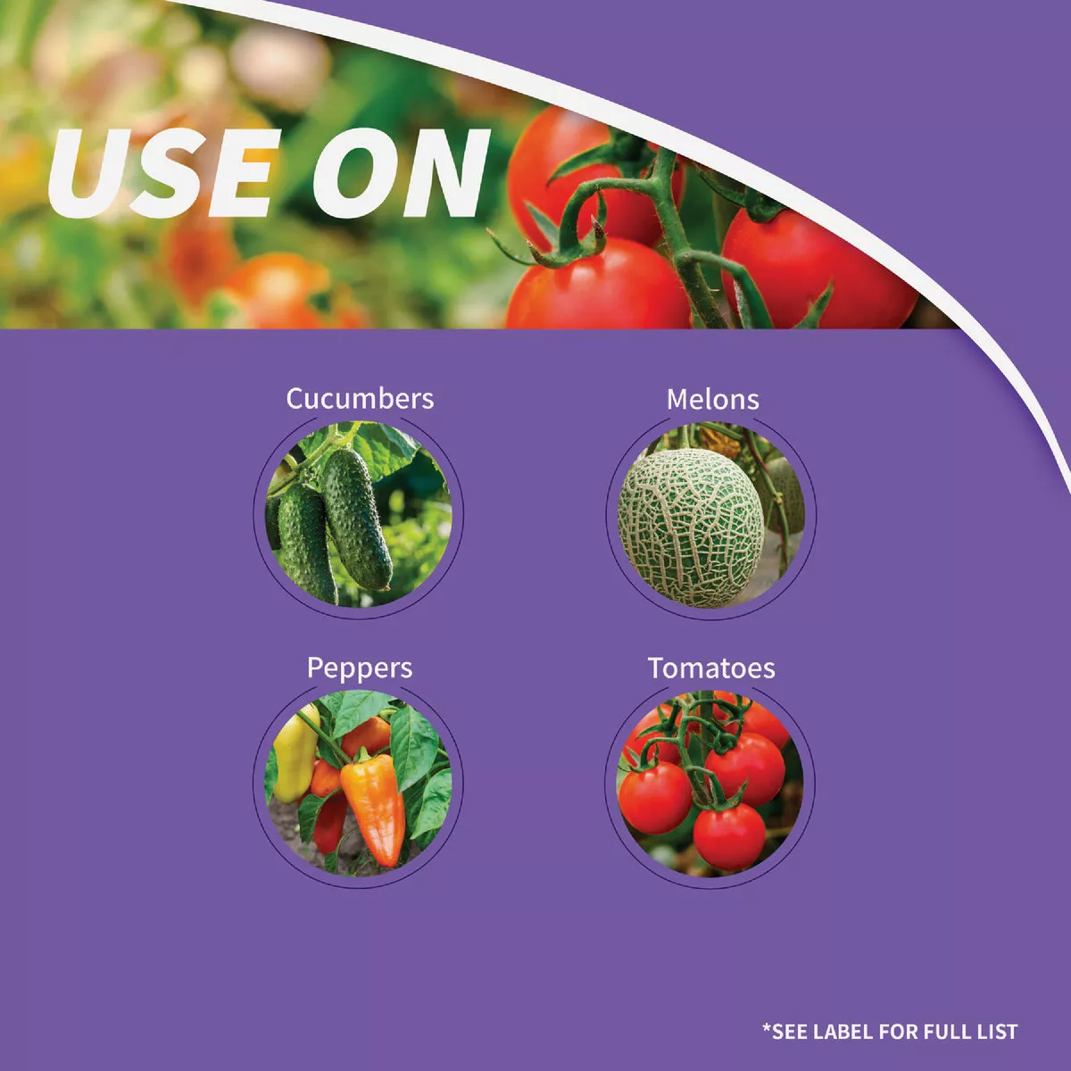 Bonide Rot-Stop 32 Oz. Ready To Use Trigger Spray Tomato Blossom End Rot Preventer - photo 4