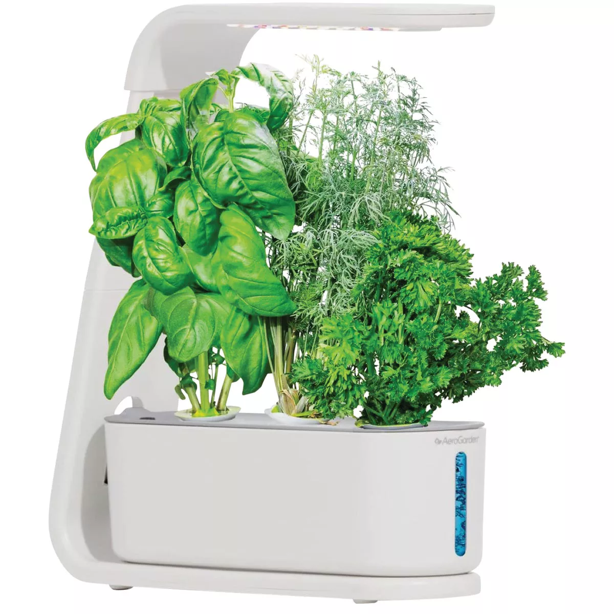 AeroGarden Sprout White Hydroponic Growing System