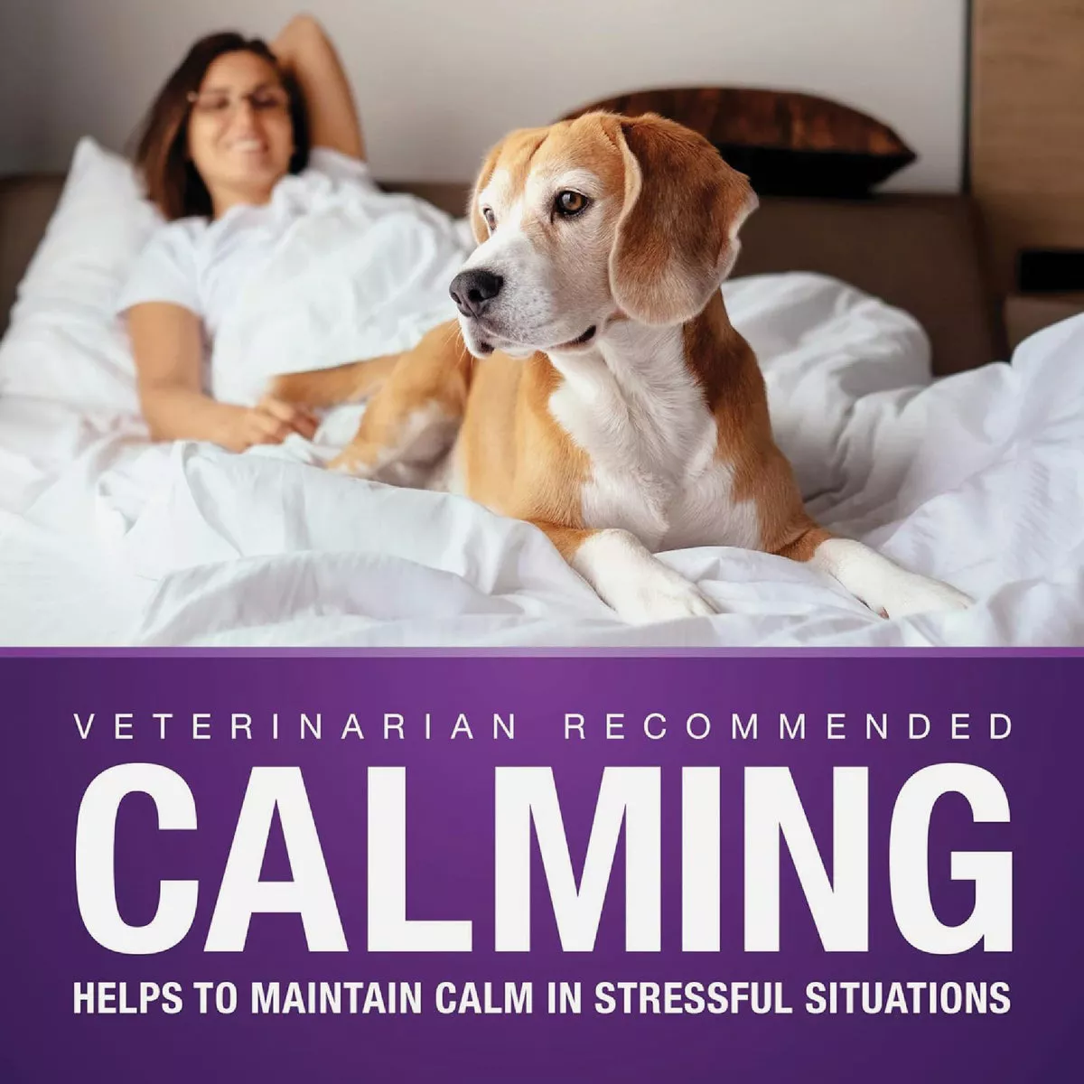 VetIQ 7.4 Oz. Calming Dog Chew (60-Pack) - photo 3