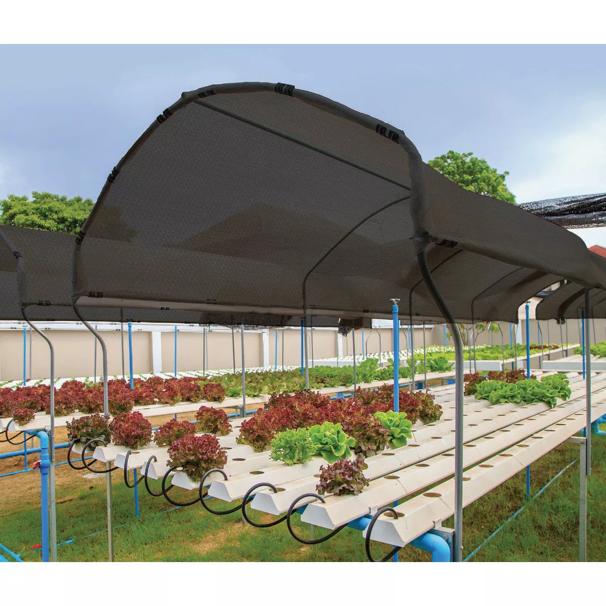 Coolaroo 6 Ft. W. x 15 Ft. L. Black 30% UV Sun Screen Fabric | True ...