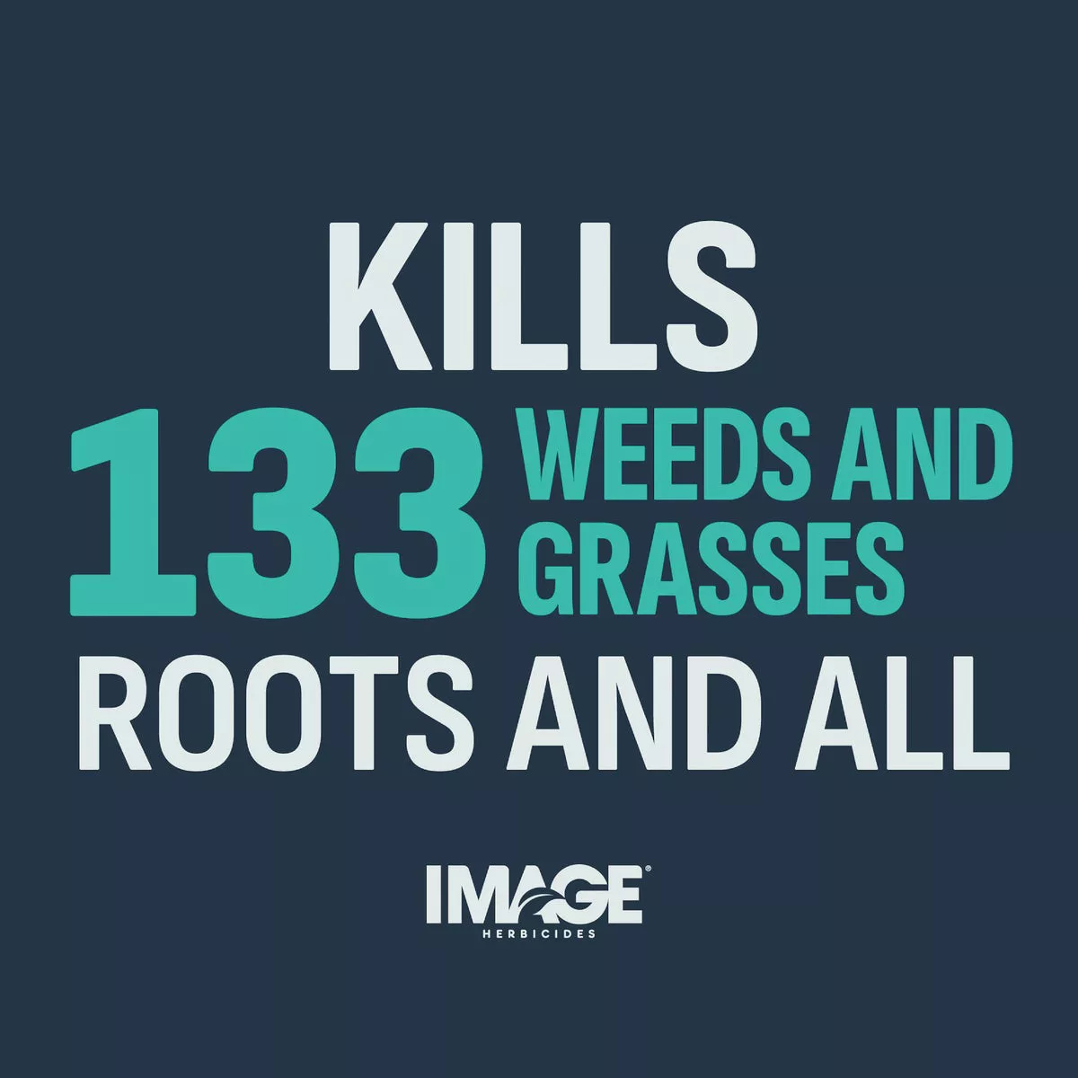 Lilly Miller Image 10 Lb. Granular Noxall Vegetation Killer - photo 7