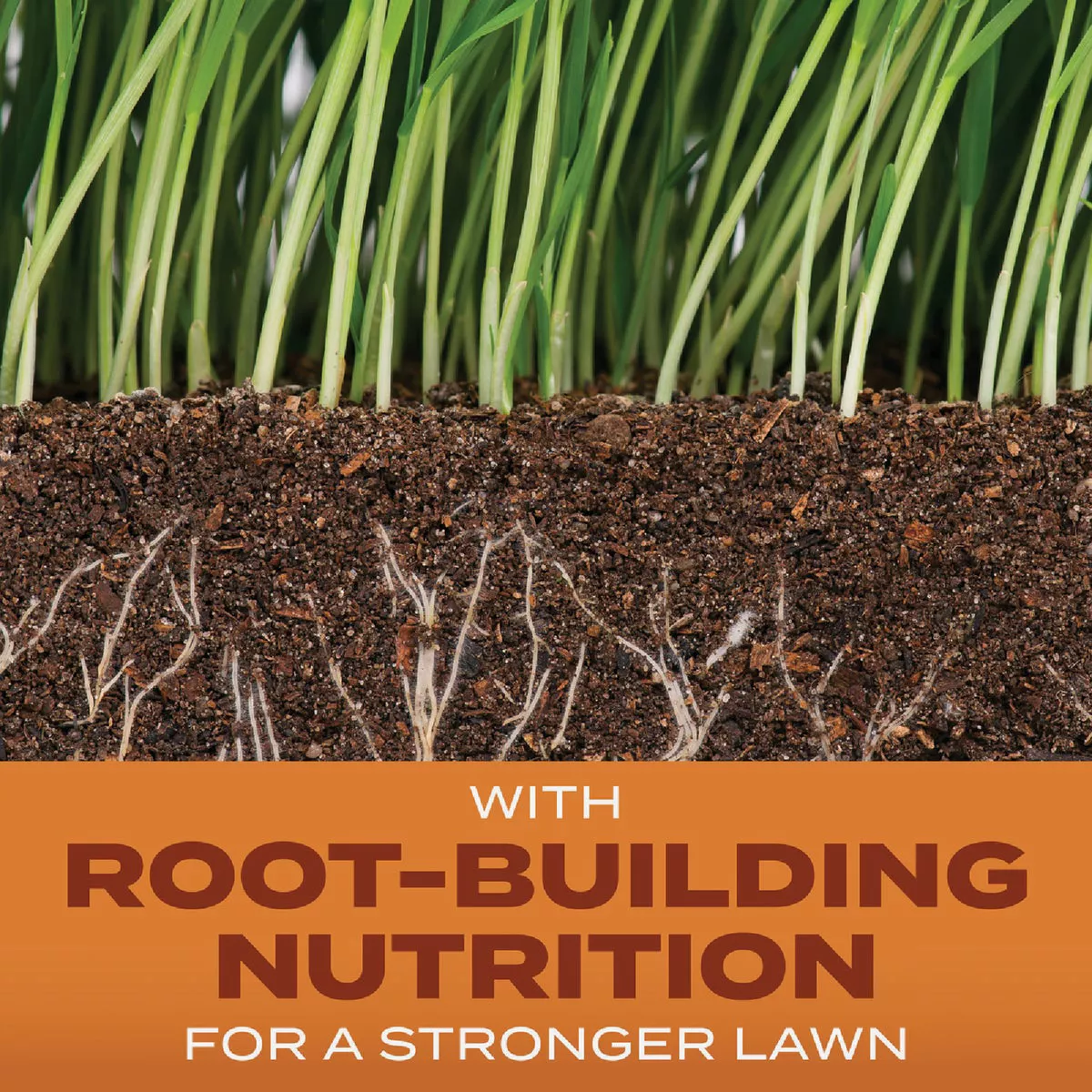 Scotts Turf Builder 4 Lb. 1330 Sq. Ft. Bermudagrass Grass Seed, Fertilizer, and Soil Improver Combination - photo 2
