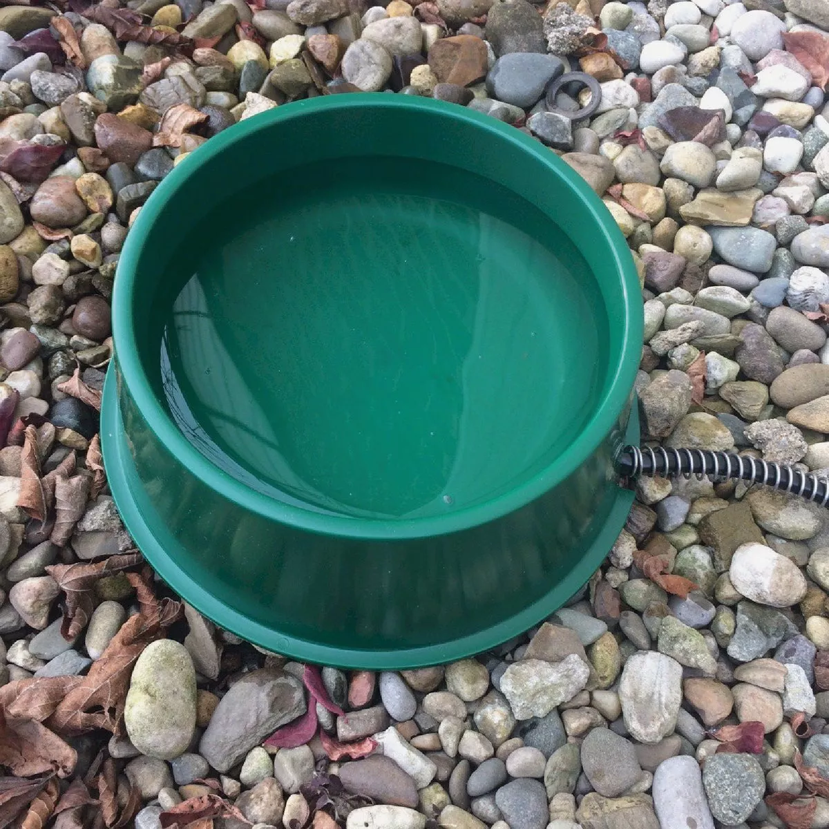Farm Innovators 1 Qt. Plastic Heated Pet Bowl - photo 4