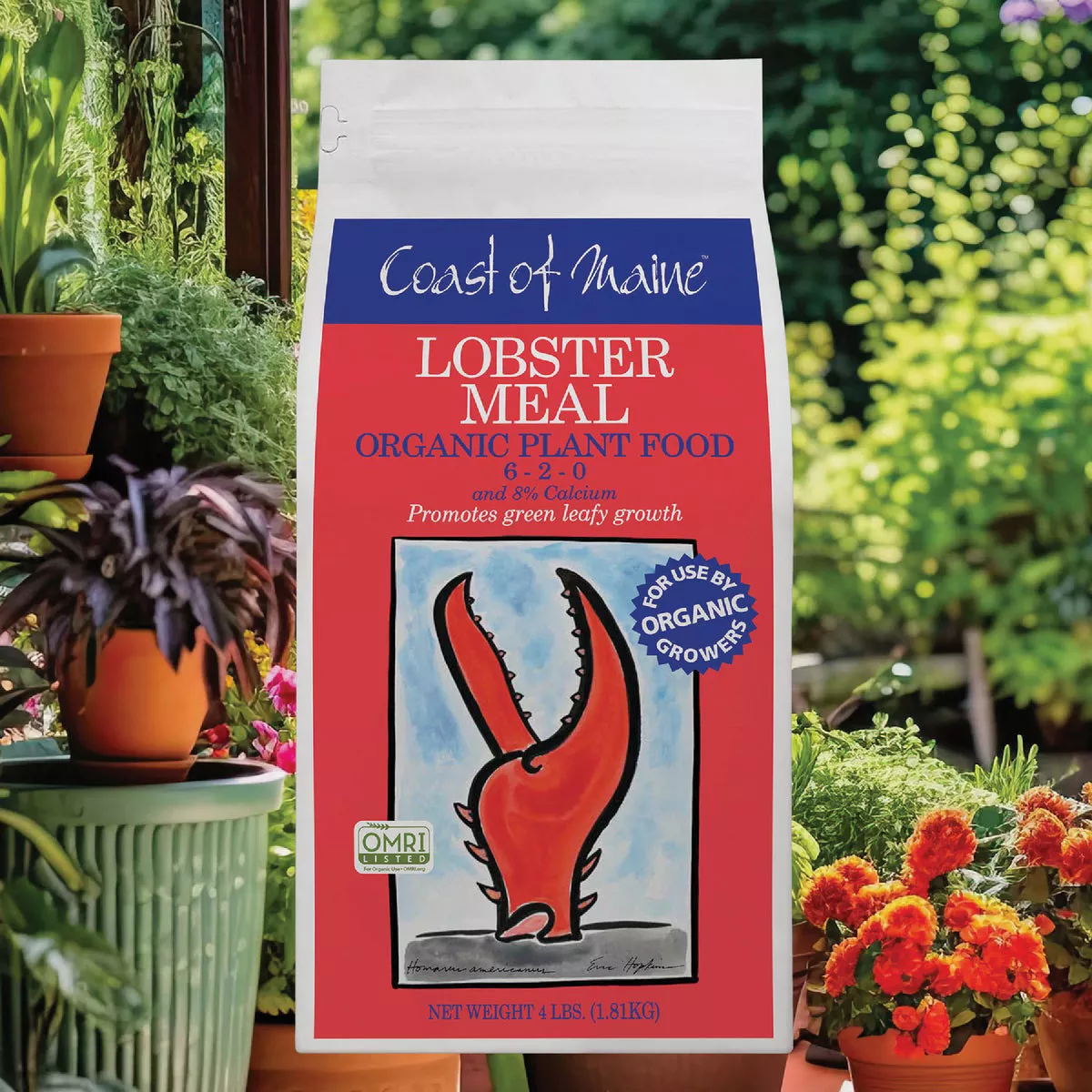 Coast of Maine 4 Lb. Lobster Meal Greening & Leafing Organic Soil Conditioner - photo 2
