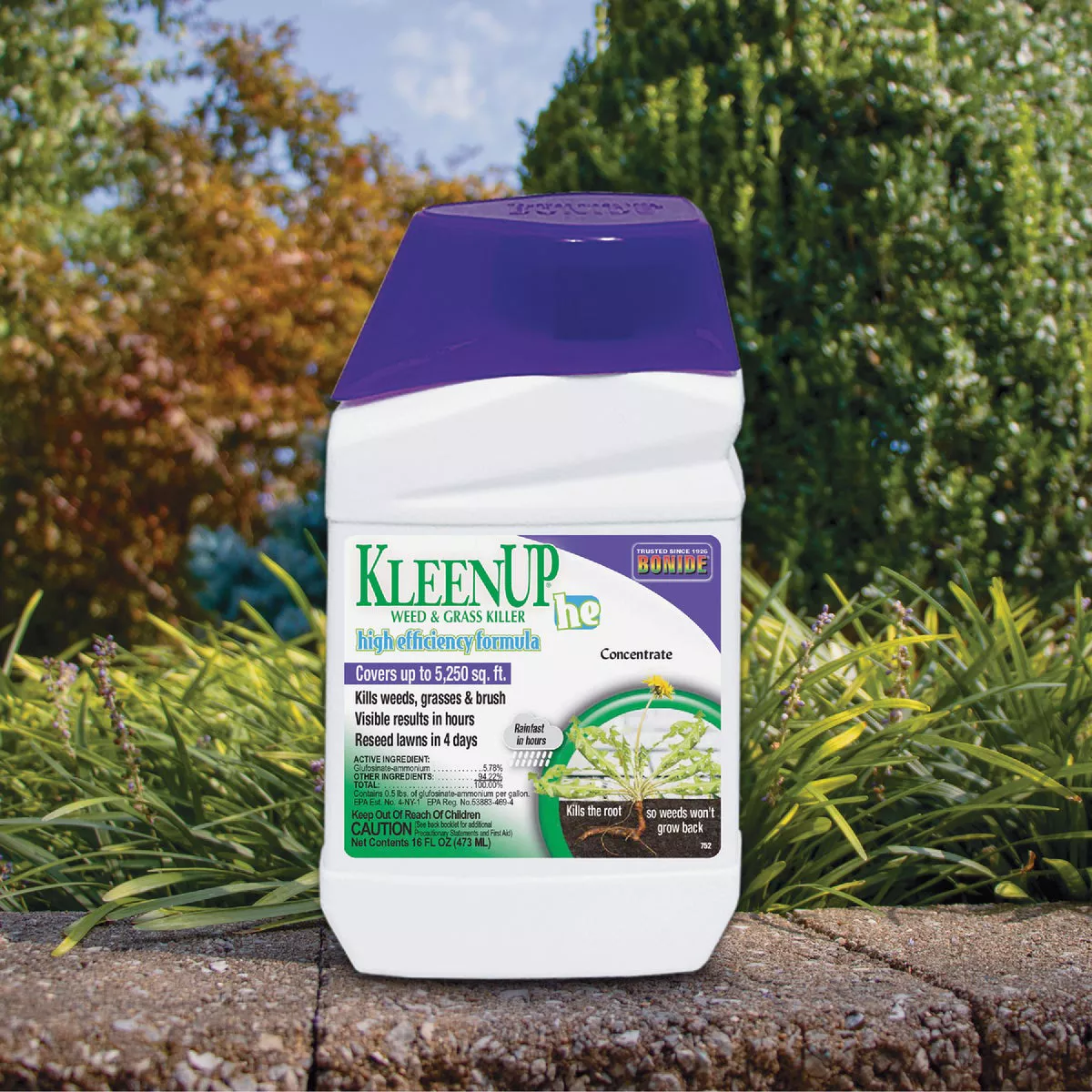 Bonide KleenUP 16 Oz. Concentrate Weed & Grass Killer High Efficiency Formula - photo 2