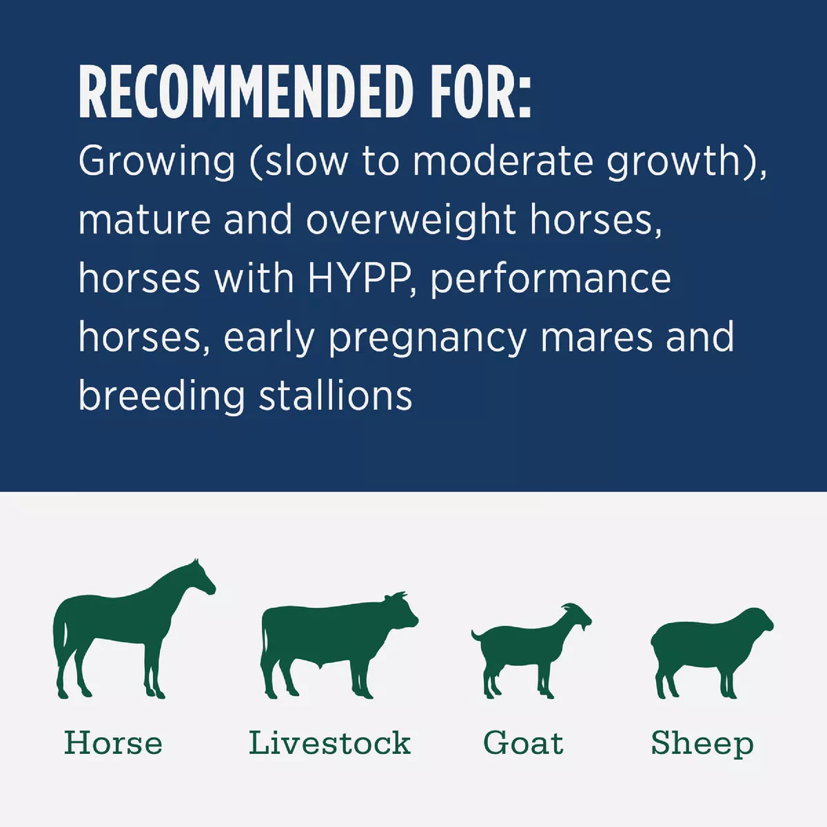 Standlee Premium Western Forage 50 Lb. Certified Timothy Compressed Bale - photo 3