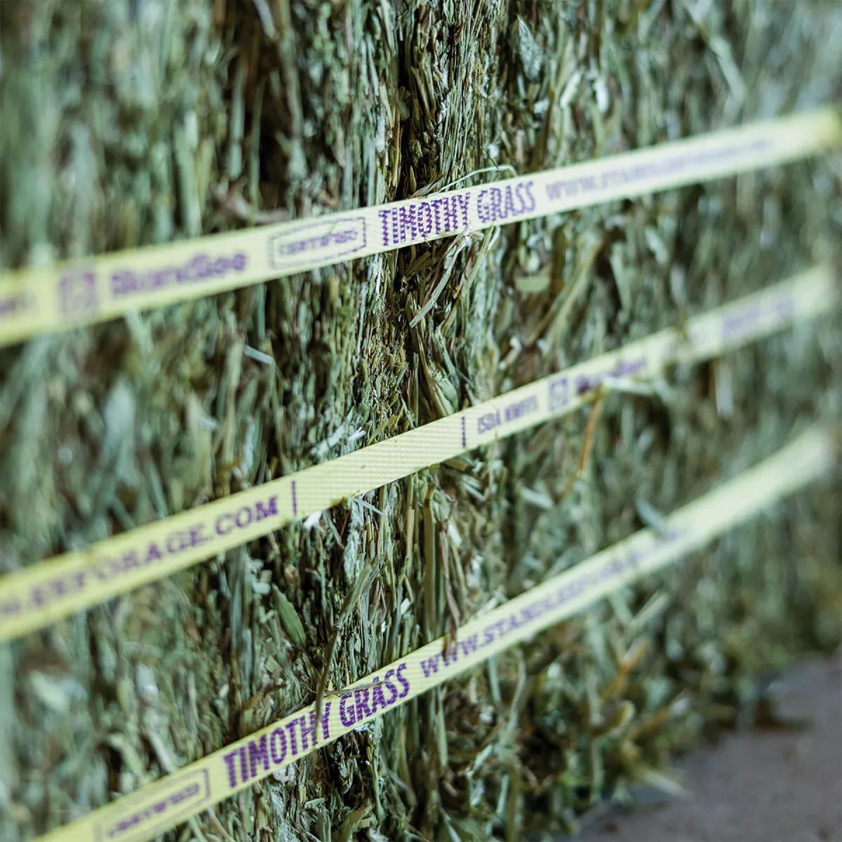 Standlee Premium Western Forage 50 Lb. Certified Timothy Compressed Bale - photo 6