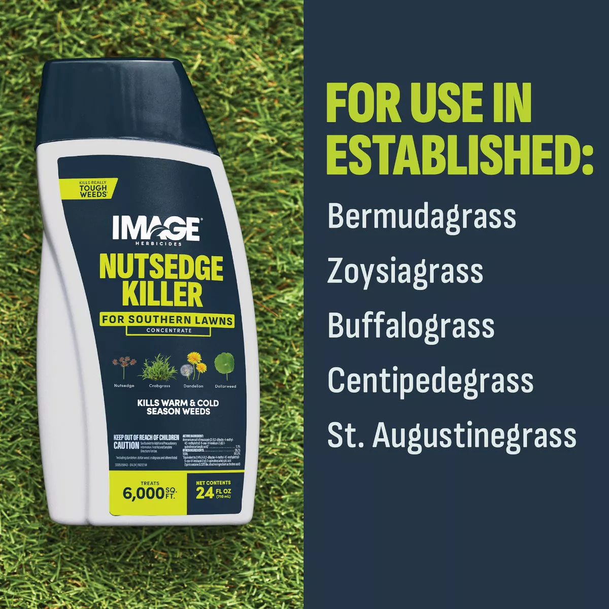 Image 24 Oz. Concentrate Southern Lawn Nutsedge & Weed Killer - photo 4