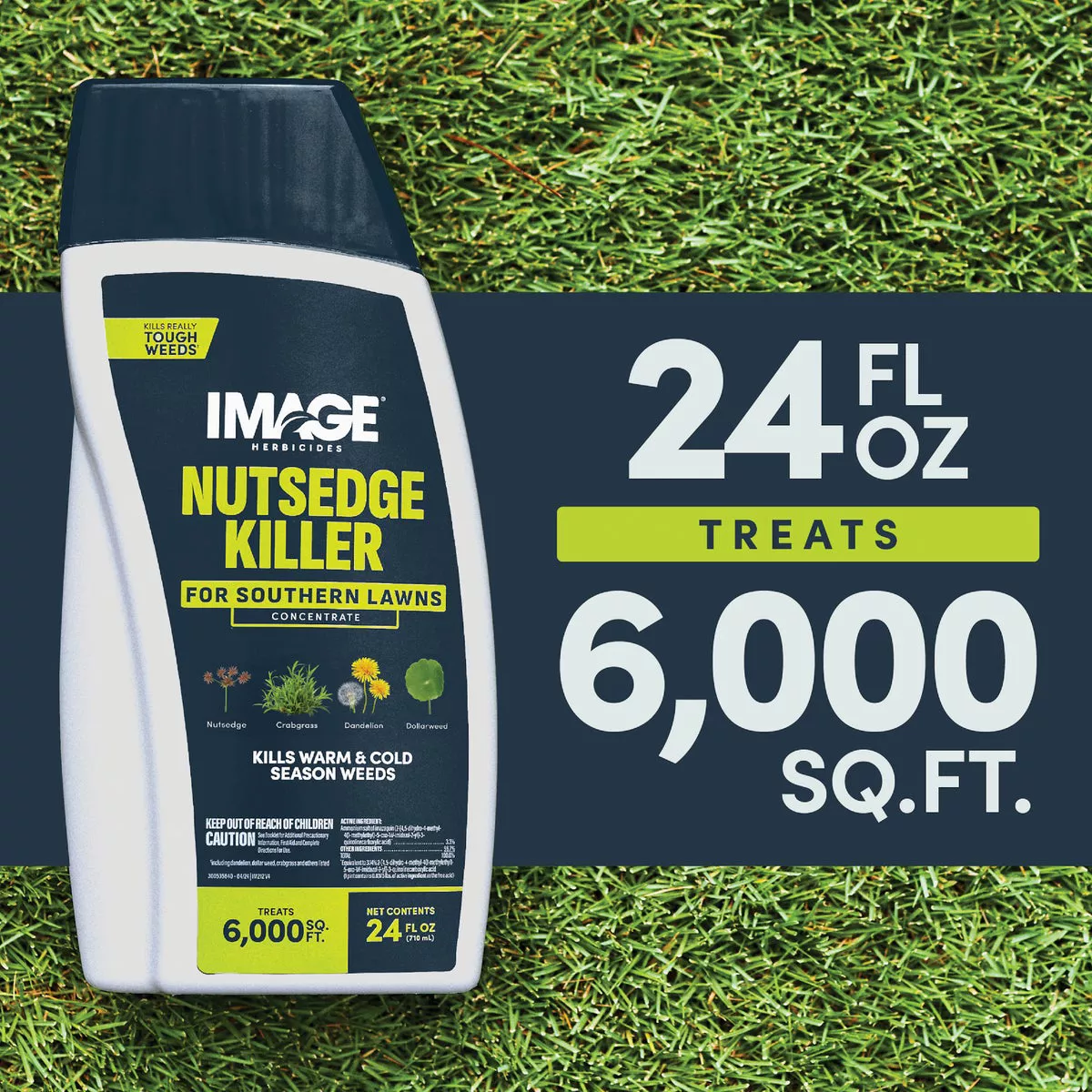 Image 24 Oz. Concentrate Southern Lawn Nutsedge & Weed Killer - photo 6
