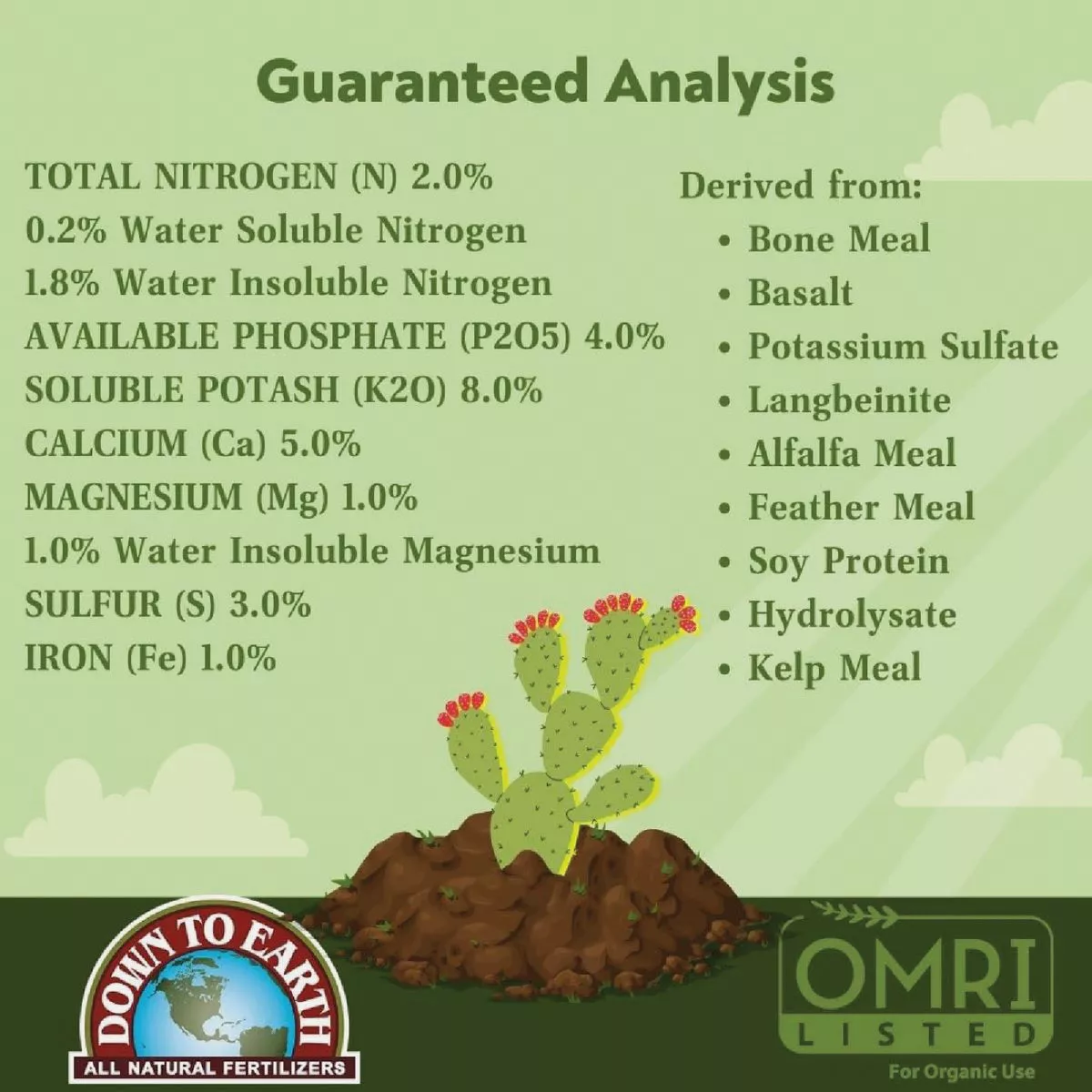 Down To Earth 1 Lb. 2-4-8 Cactus Mix - photo 5