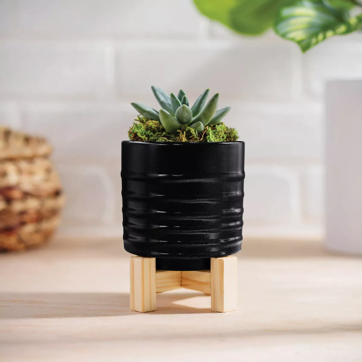 Krylon Short Cuts Black High Gloss 1 Fl. Oz. Hobby Paint - photo 4