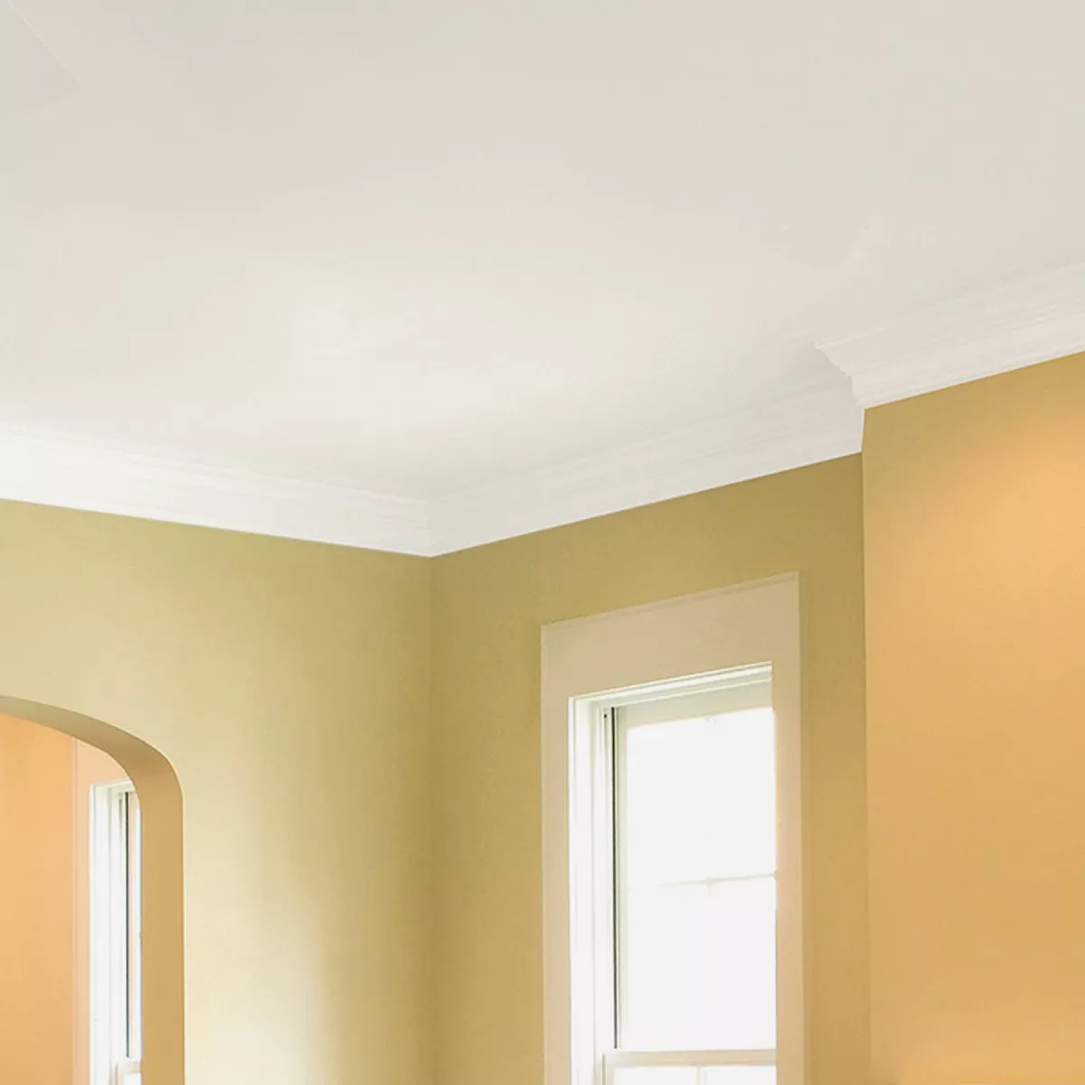 Zinsser Latex Paint & Primer In One Stainblock Flat Ceiling Paint, Bright White, 1 Gal. - photo 3