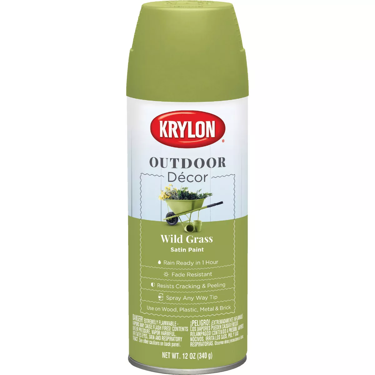 Krylon Outdoor Decor 12 Oz Satin Alkyd Spray Paint, Wild Grass