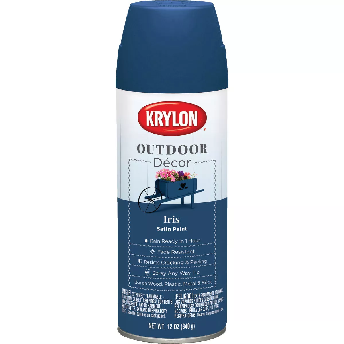 Krylon Outdoor Decor 12 Oz Satin Alkyd Spray Paint, Iris