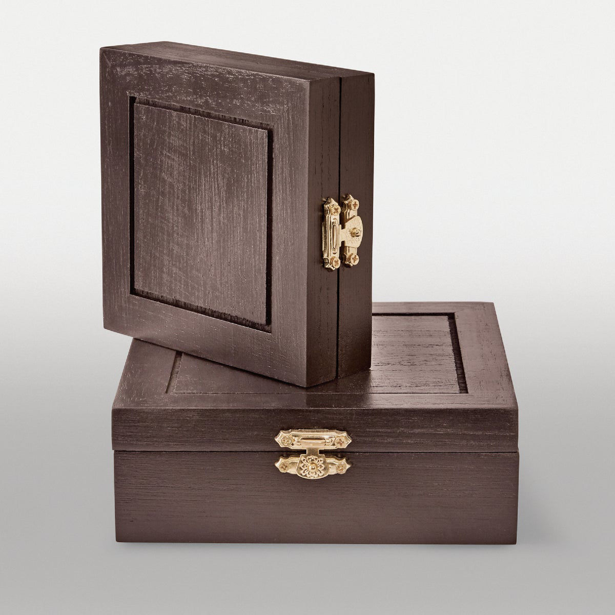 Krylon ColorMaxx 12 Oz. Gloss Spray Paint, Leather Brown Do it Best