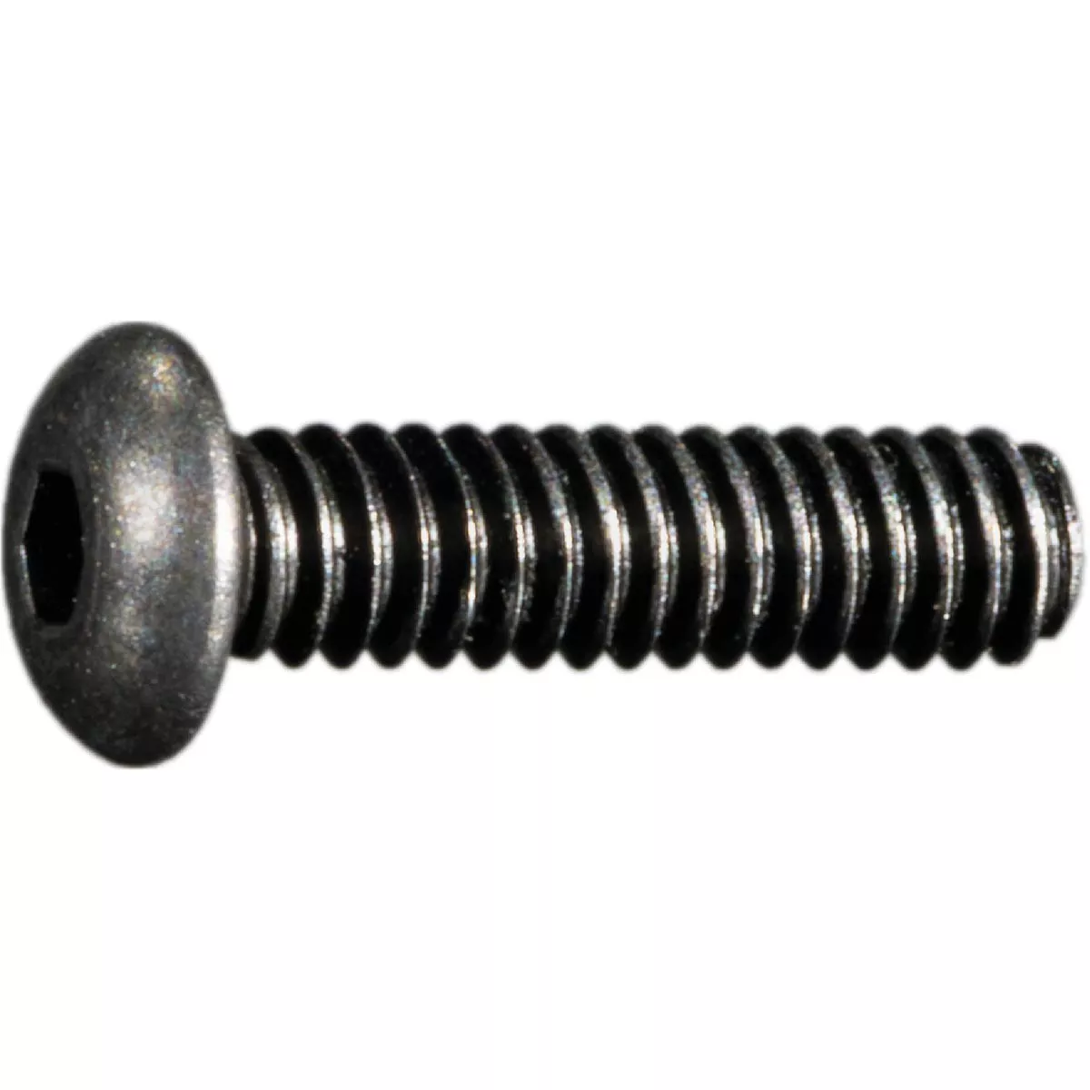 Midwest Fastener #0-80 x 1/4 In. Steel Fine Thread Button Head Hex Socket Cap Screws (12 Ct.)
