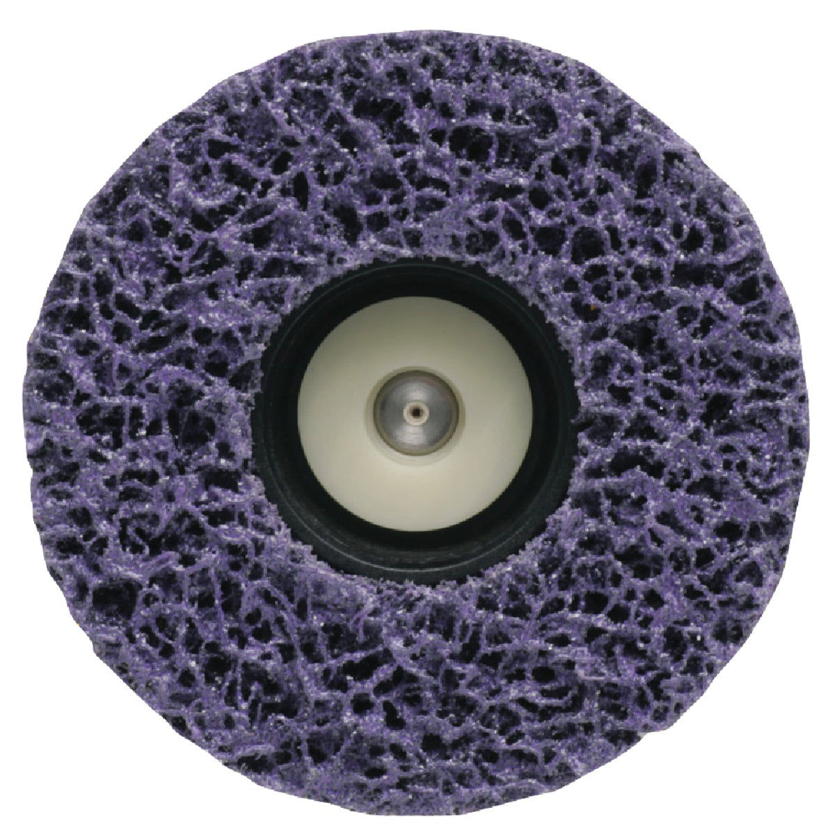 Wagner Paint Eater 41/2 In. 1 In. Paint Removal Disc Do it Best