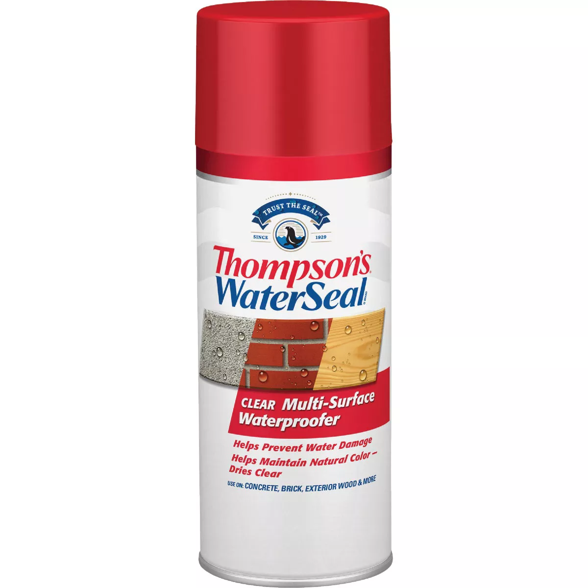Thompson's WaterSeal Clear Water-Based MultiSurface Waterproofer Sealer, 12 Oz.