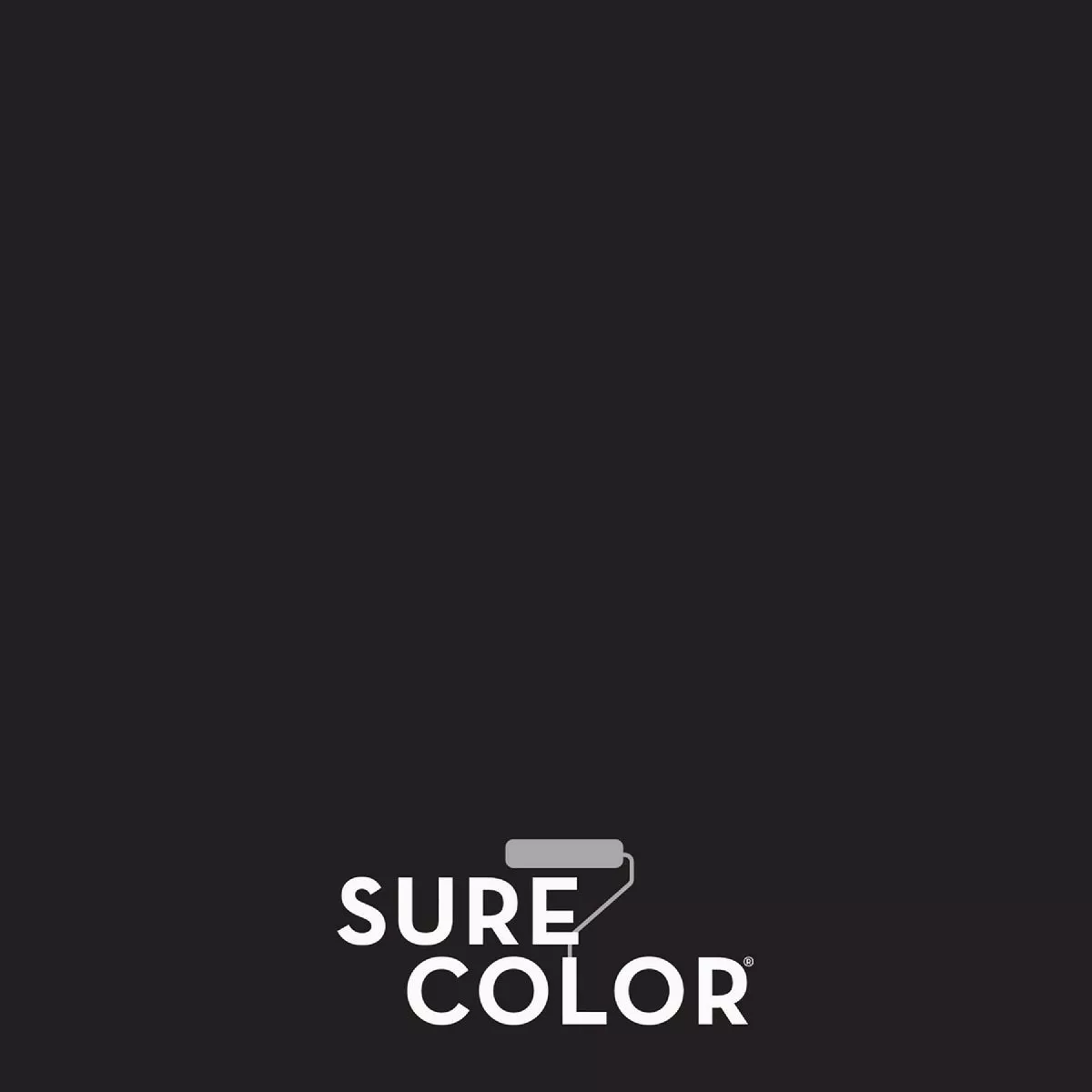 Rust-Oleum Sure Color Eggshell Black Interior Wall Paint and Primer, Gallon - photo 2