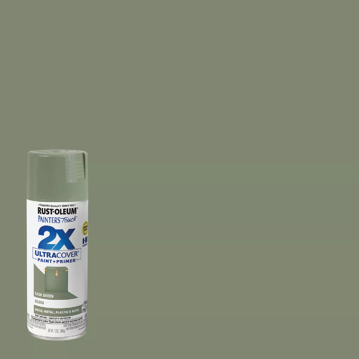 Rust-Oleum Painter's Touch 2X Ultra Cover 12 Oz. Gloss Paint + Primer Spray Paint, Sage Green