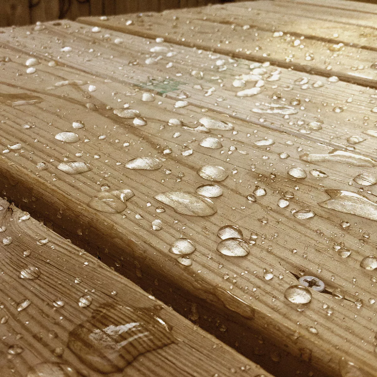 Eco Advance Exterior Wood Water Repellent Sealer, 1 Gal., Clear - photo 3