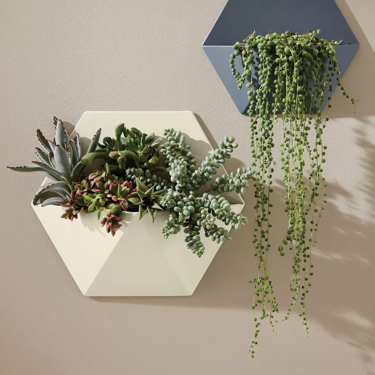 Krylon ColorMaxx 12 Oz. Gloss Spray Paint, Dover White - photo 5