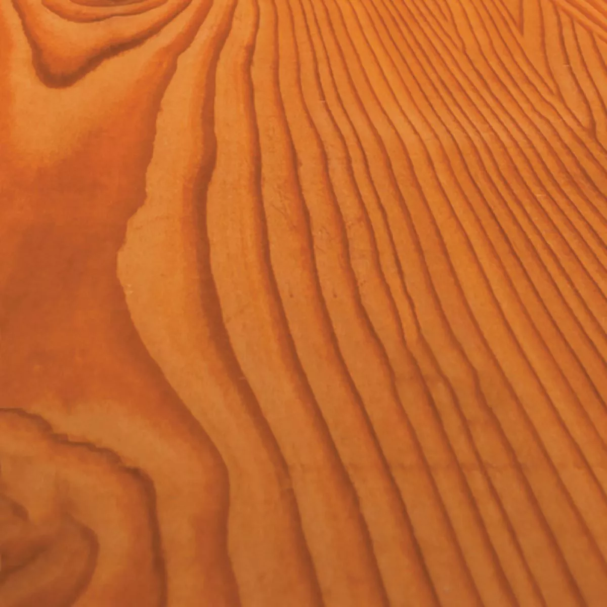 Wolman F&P Transparent Wood Finish And Preservative, Redwood, 5 Gal. - photo 2