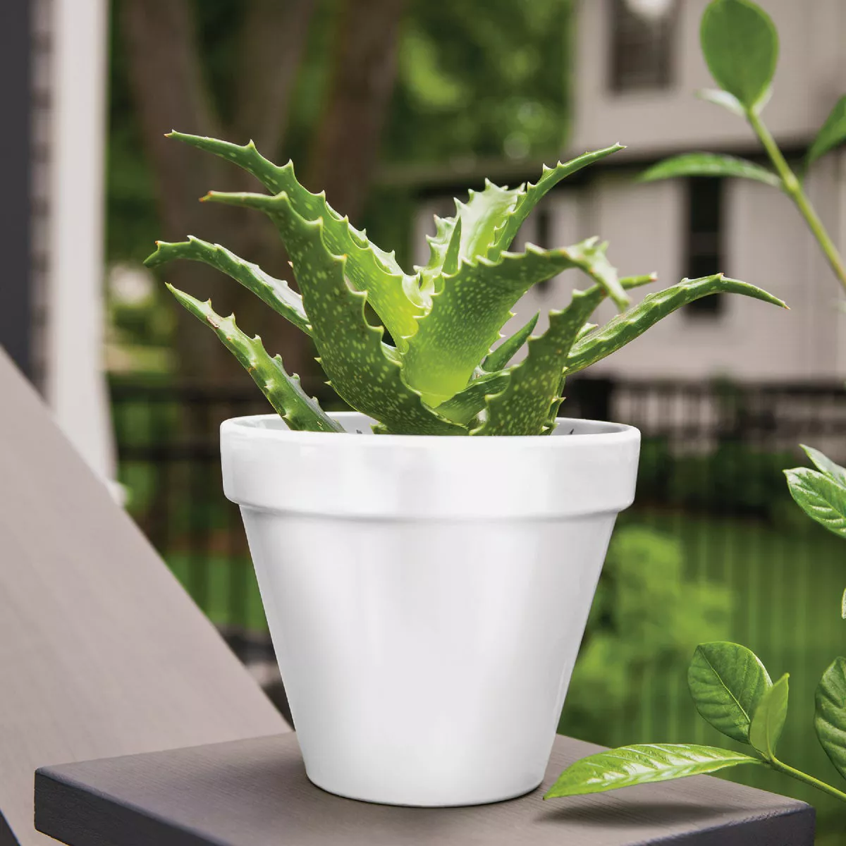 Krylon ColorMaxx 12 Oz. Semi-Gloss Spray Paint, White - photo 4