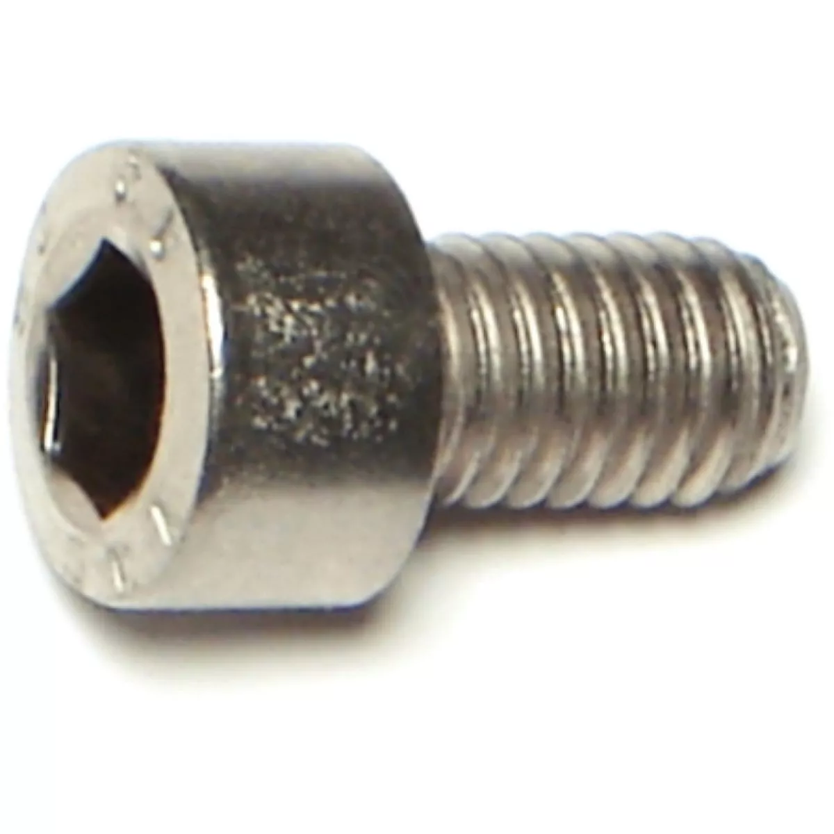 Midwest Fastener 6mm-1.0 x 10mm Stainless A2-70 Steel Coarse Thread Hex Socket Cap Screws (10 Ct.)