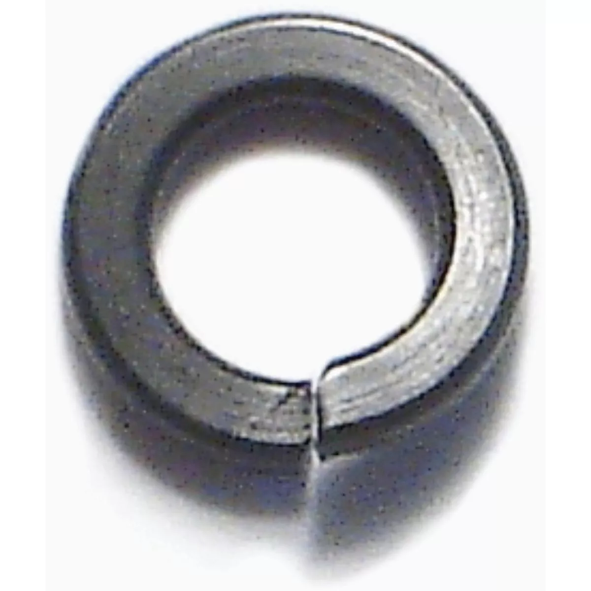 Midwest Fastener #8 x 5/32 In. x 9/32 In. Black Oxide Grade 2 Steel Lock Washers (25 Ct.)-