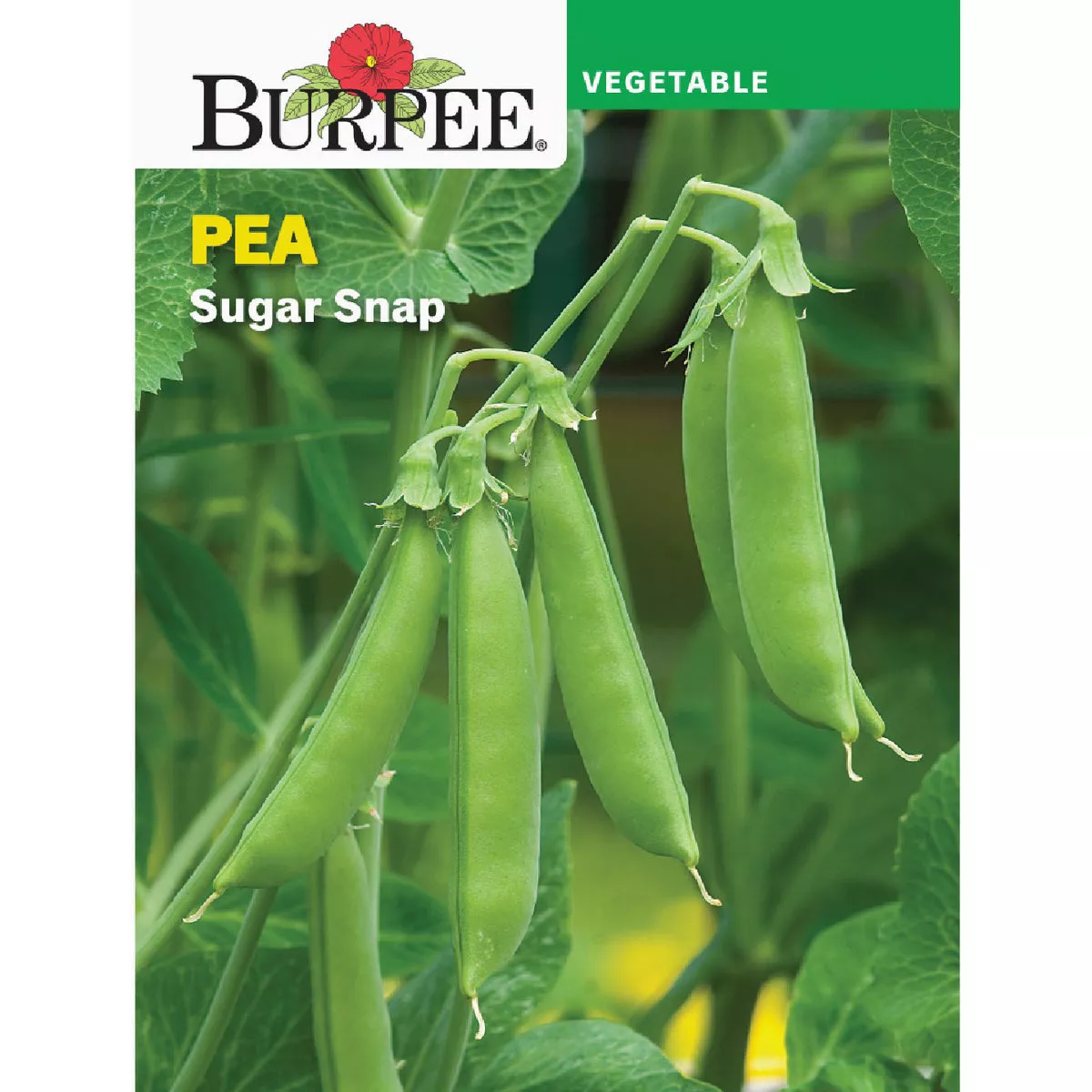 Burpee Pea Sugar Snap Seed Packet