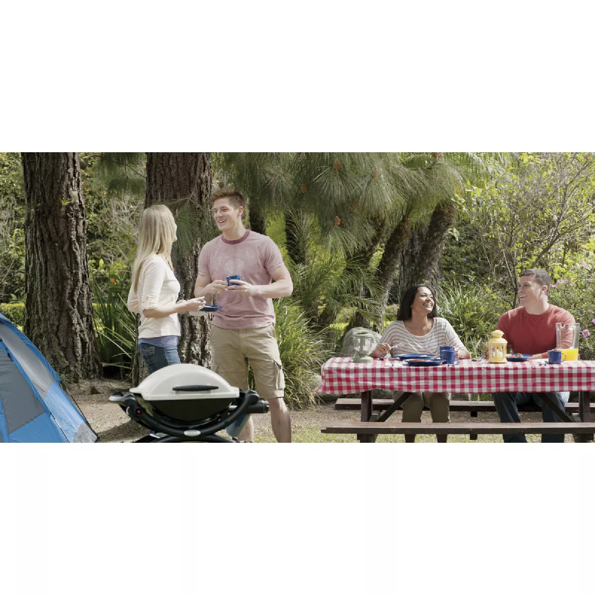 Weber Q 1000 1-Burner Silver 8,500-BTU LP Gas Grill - photo 7