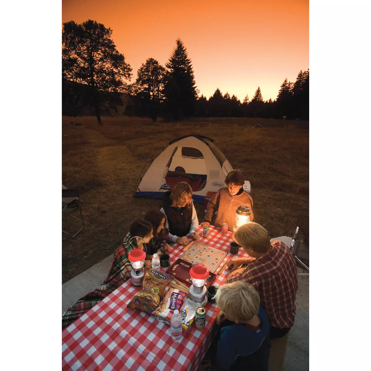 Coleman Dual 13 In. Gray Liquid Fuel Lantern - photo 2