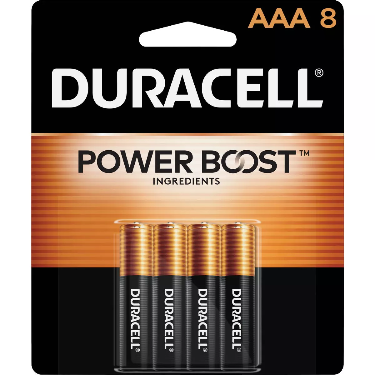 Duracell CopperTop AAA Alkaline Battery (8-Pack)