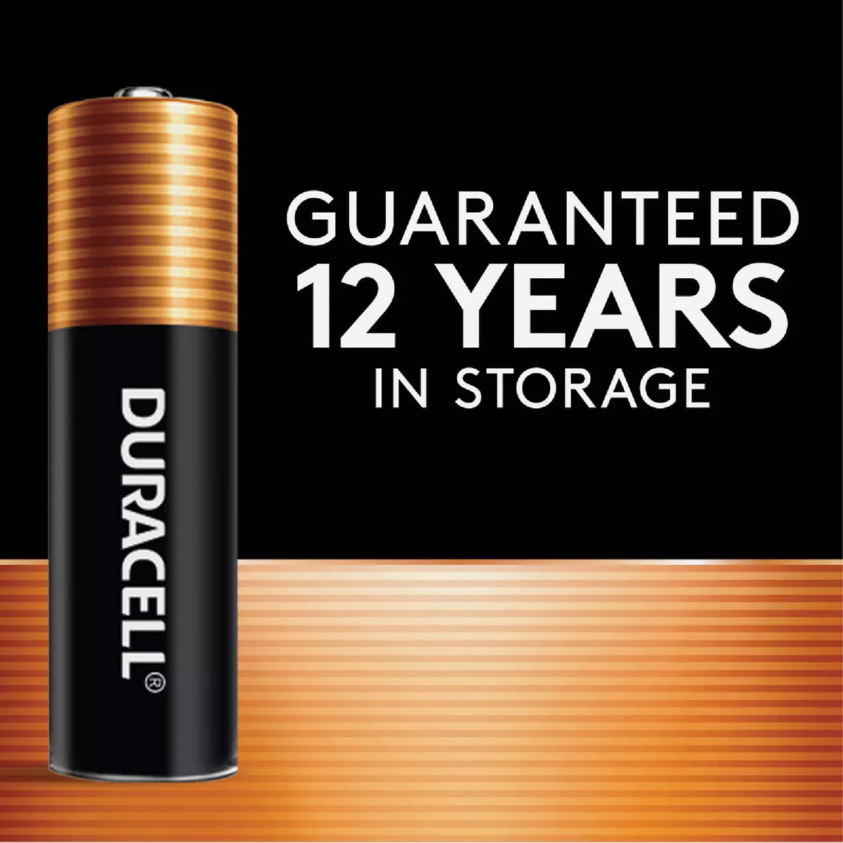Duracell CopperTop AAA Alkaline Battery (8-Pack) - photo 3