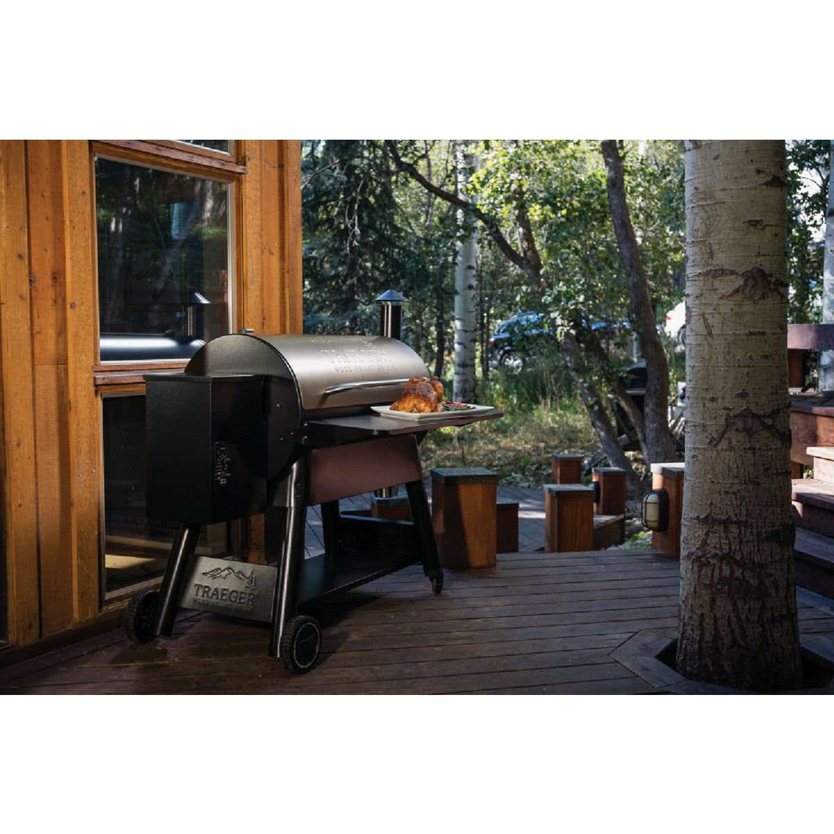 Traeger Pro Series 22-Inch Wood Pellet Grill W/ MEATER+ Smart Meat  Thermometer