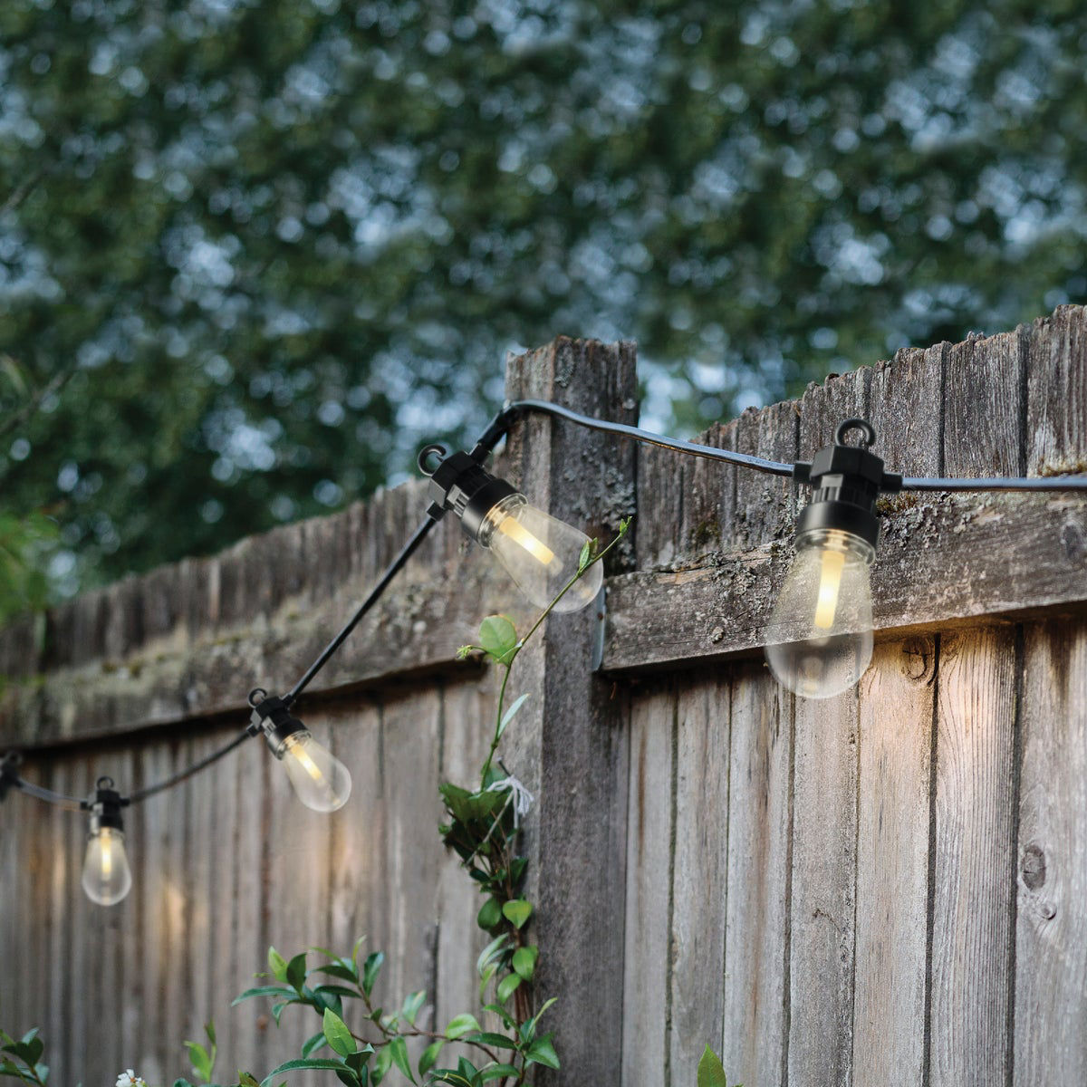 Lumineo 31 Ft. 20Light Warm White LED Vintage Outdoor Party String