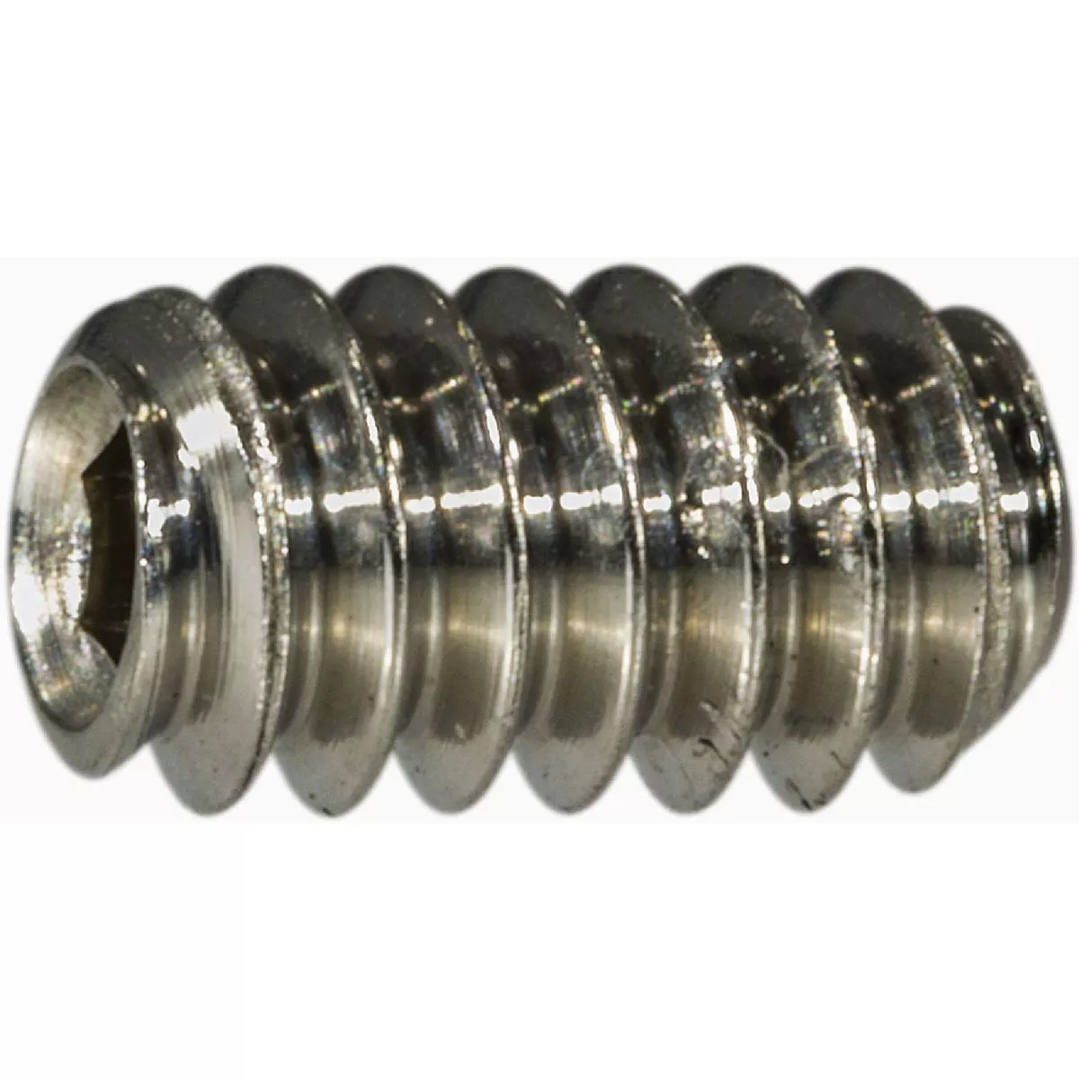 Midwest Fastener #6-32 x 1/4 In. 18-8 Stainless Steel Coarse Thread Hex Socket Headless Set Screws