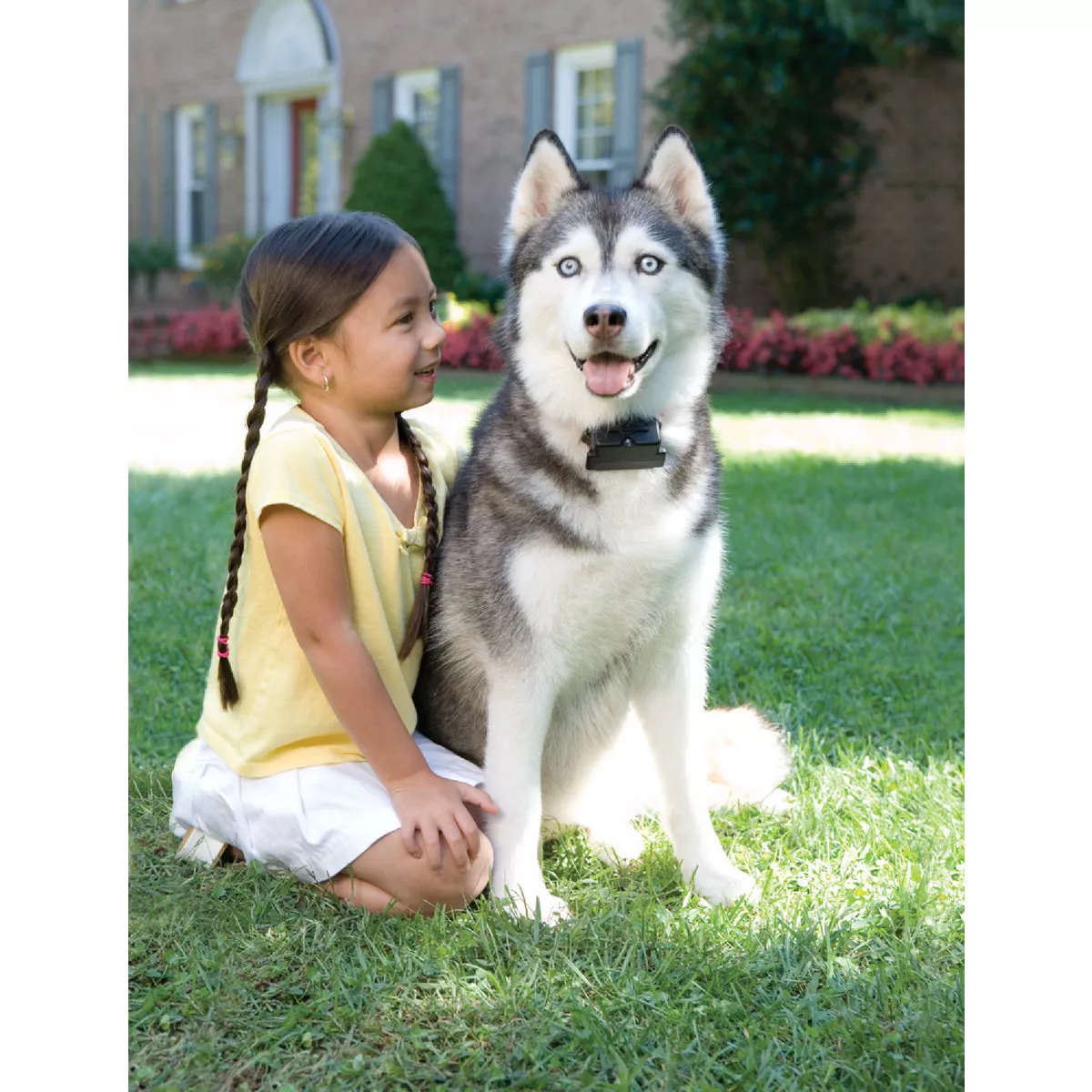 Petsafe Stubborn Dog Over 8 Lb. Fence Receiver Trainer Collar - photo 2