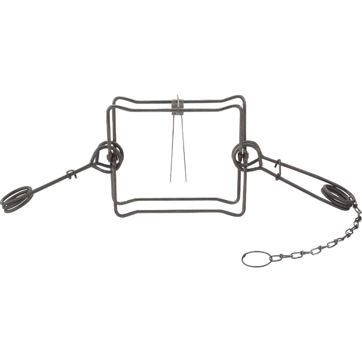 Duke Traps 10 In. Jaw Spread Steel Body Gripping Beaver, Bobcat, Coyote