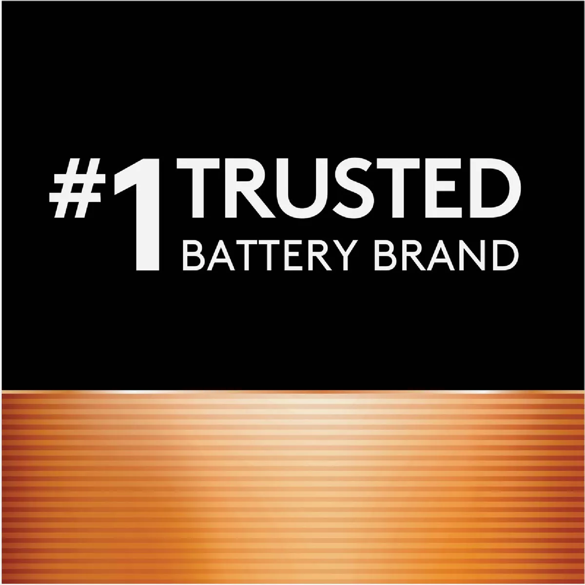 Duracell CopperTop C Alkaline Battery (2-Pack) - photo 4