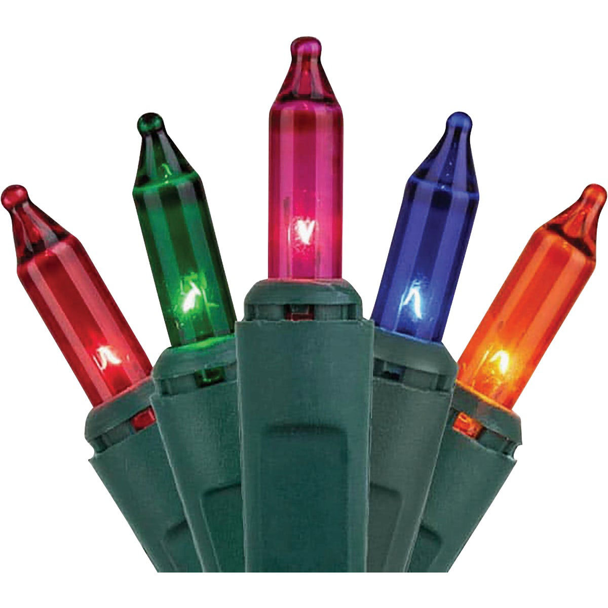 Holiday Wonderland  Multi 100-Bulb Mini Incandescent String Light Set with Green Wire